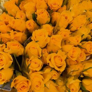 a large bunch of yellow roses